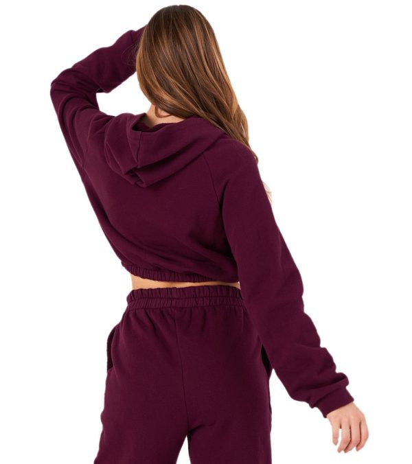 Onzie Cinch Crop Hoodie Online Sale - Image 3