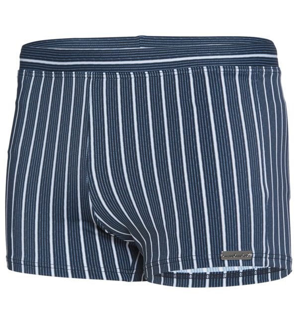 Wavebreaker Men s Badehose Stripe Square Leg Swim Short For Discount - Image 5