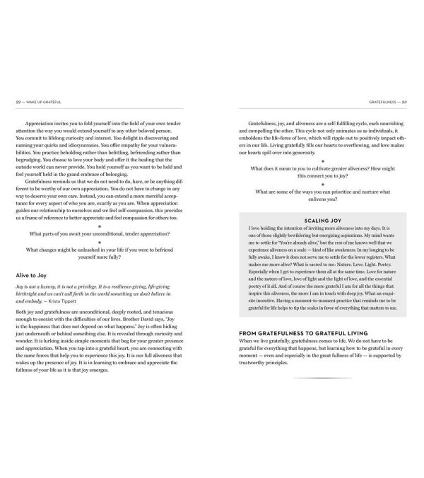 Workman Publishing Wake Up Grateful: The Transformative Practice of Taking Nothing for Granted on Sale - Image 4